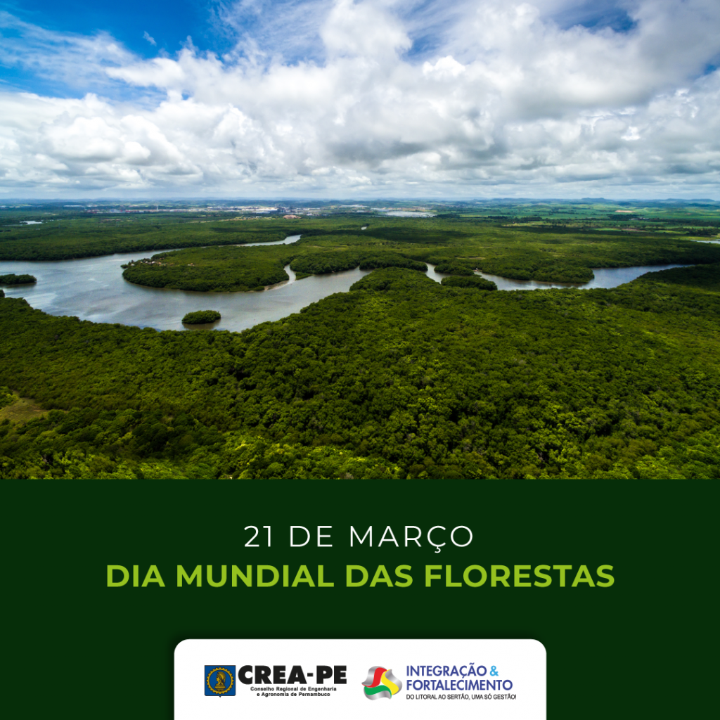 Dia Mundial Das Florestas Crea Pe
